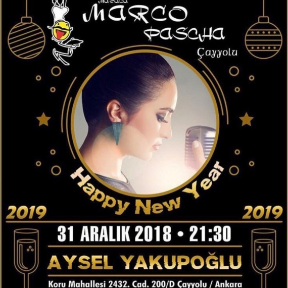 Gezen tilki, okuyan (da) aslan Aysel Yakupoğlu 2019 Yılbaşı programı Menajeri İletişim 0507 306 54 30